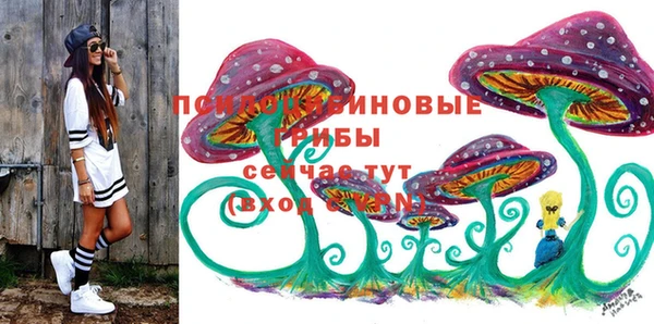 скорость Бронницы