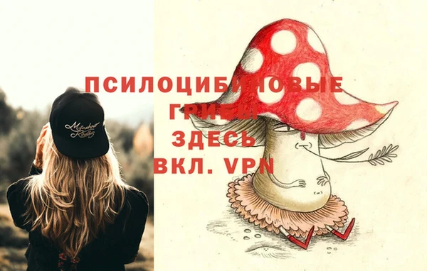 2c-b Богородицк