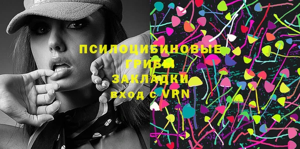 2c-b Богородицк