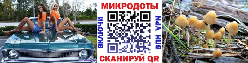 Купить закладки  Мглин  Псилоцибиновые грибы мухоморы 